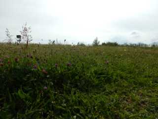 DSCN2180.JPG