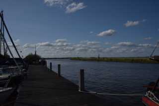 DSC_7917.JPG