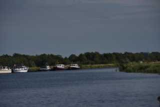 DSC_7920.JPG
