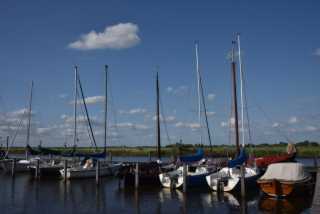 DSC_7928.JPG