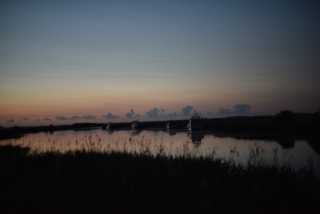 DSC_7995.JPG