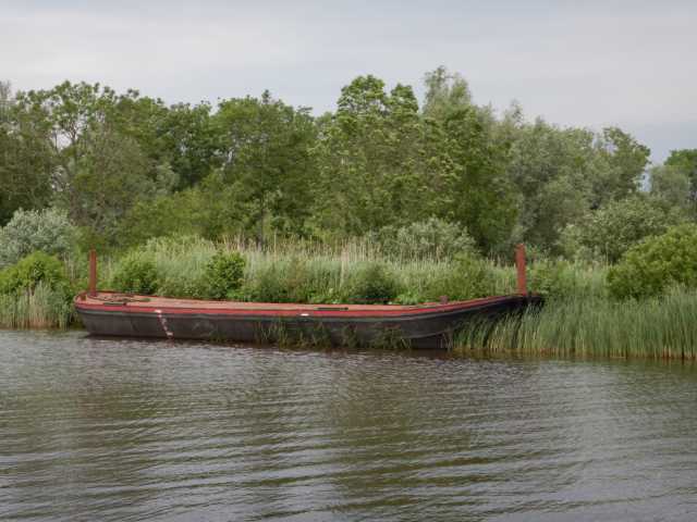 DSCN2145.JPG