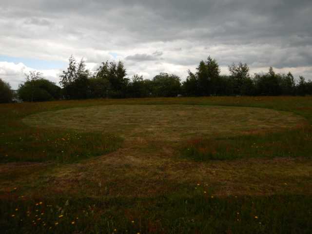 DSCN2172.JPG
