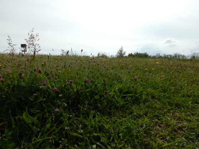 DSCN2180.JPG