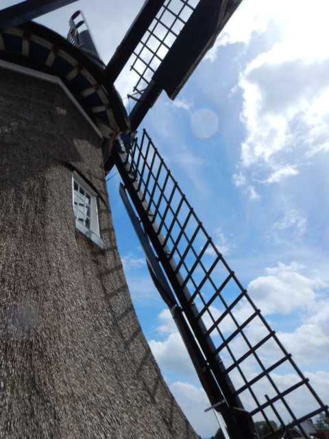 DSCN2234.JPG
