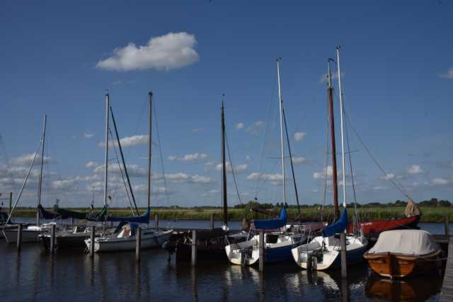 DSC_7928.JPG