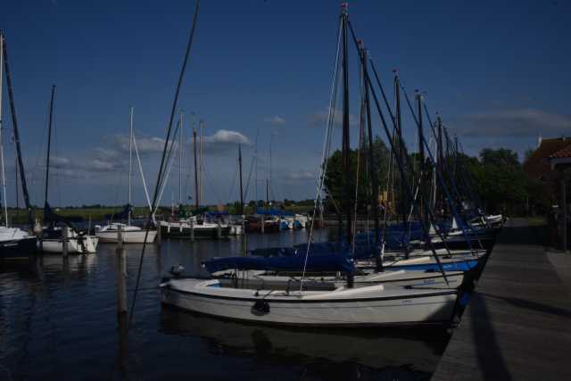 DSC_7944.JPG