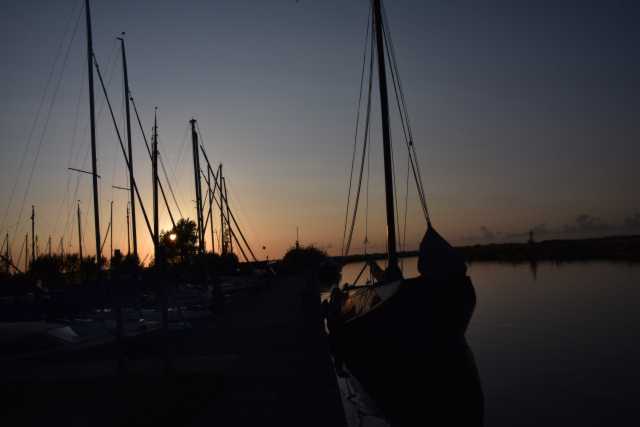 DSC_7956.JPG