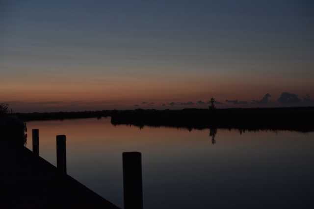 DSC_7965.JPG