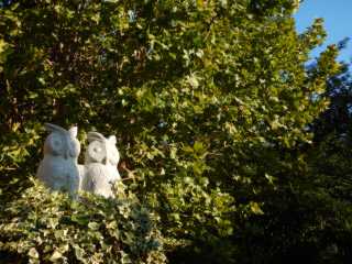 DSCN2817.JPG