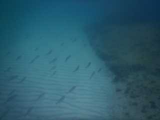 DSCN2867.JPG