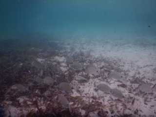 DSCN2886.JPG