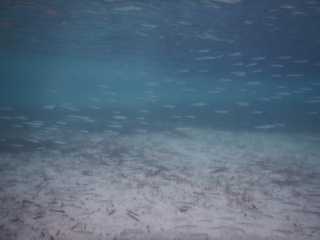 DSCN2930.JPG