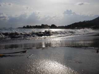 DSCN2947.JPG