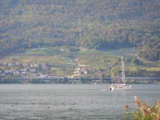 DSCN2997.JPG