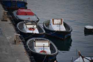 DSC_8439.JPG