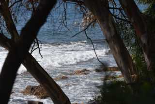 DSC_8615.JPG