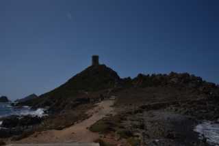 DSC_8656.JPG