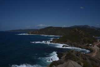 DSC_8674.JPG