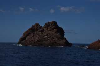 DSC_8812.JPG