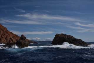 DSC_8994.JPG