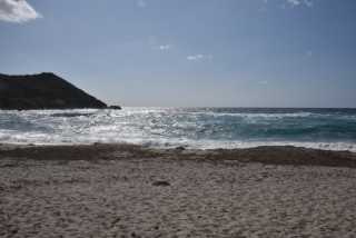 DSC_9129.JPG