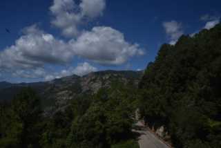 DSC_9229.JPG