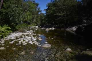 DSC_9280.JPG