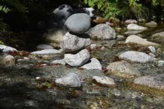 DSC_9291.JPG