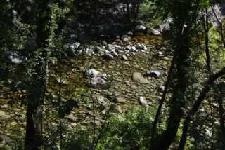 DSC_9300.JPG