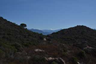 DSC_9345.JPG