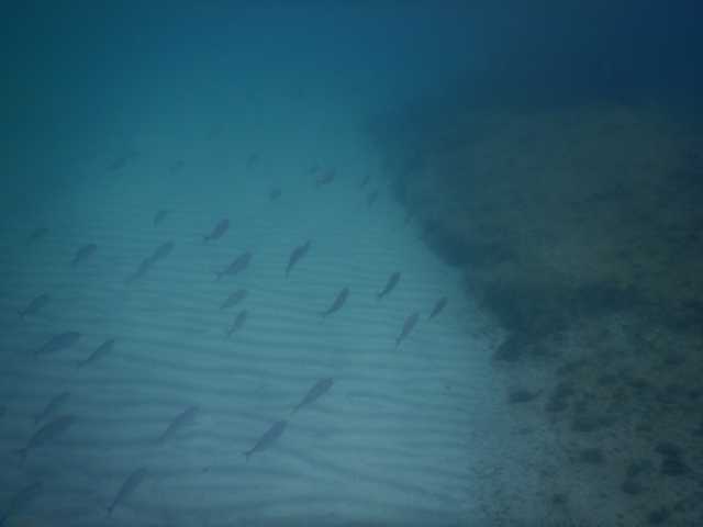 DSCN2867.JPG
