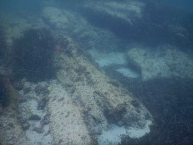 DSCN2874.JPG
