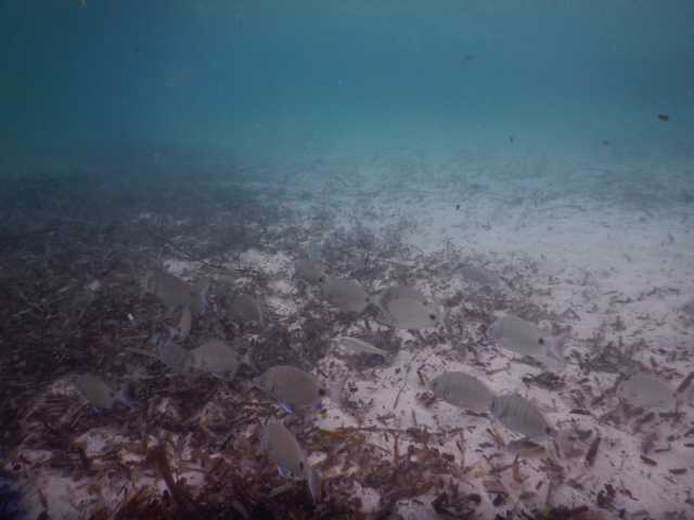 DSCN2886.JPG