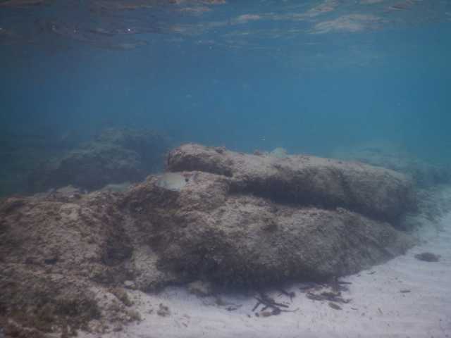 DSCN2900.JPG
