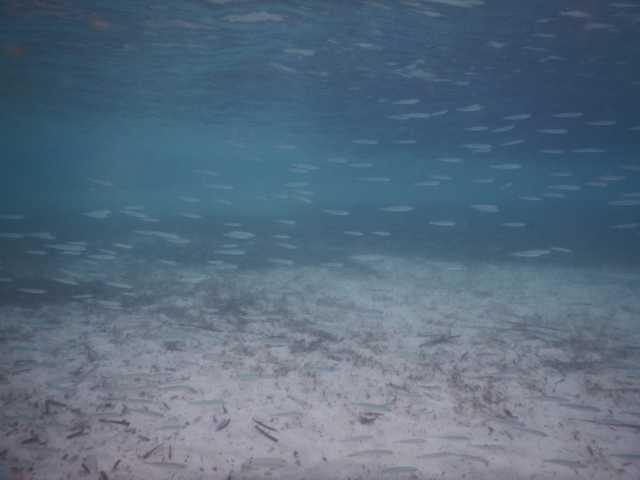 DSCN2930.JPG