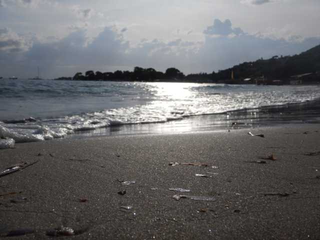 DSCN2944.JPG