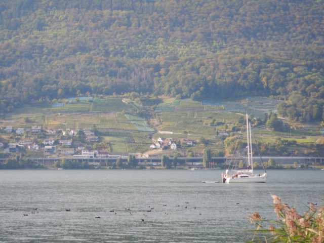 DSCN2997.JPG