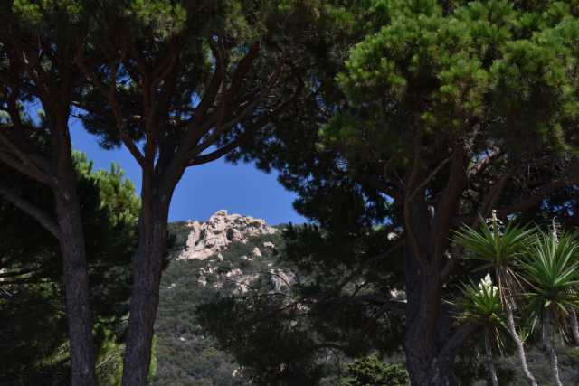 DSC_8560.JPG