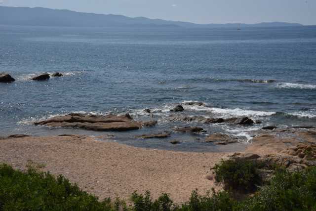 DSC_8571.JPG