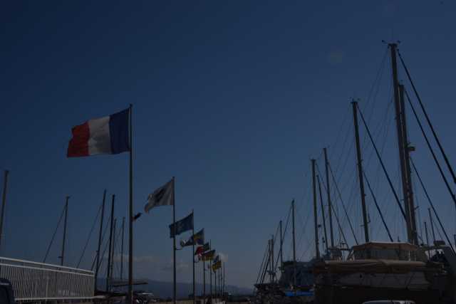 DSC_8596.JPG