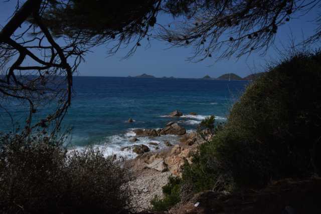 DSC_8632.JPG