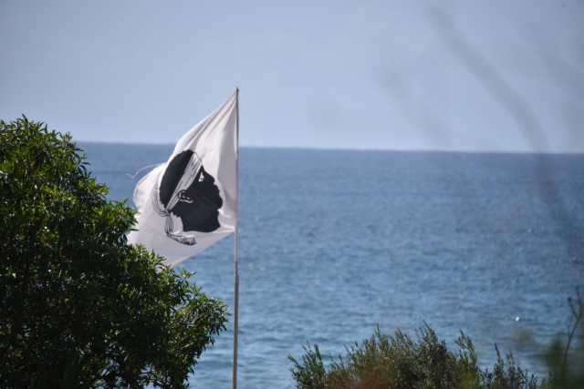 DSC_8636.JPG