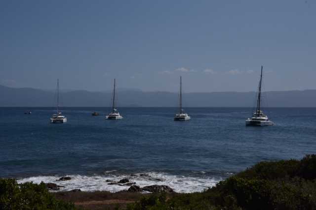 DSC_8643.JPG