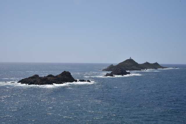 DSC_8672.JPG