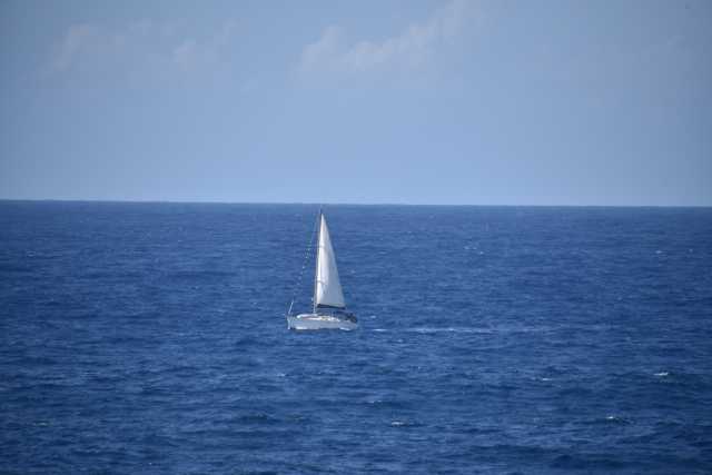 DSC_8681.JPG