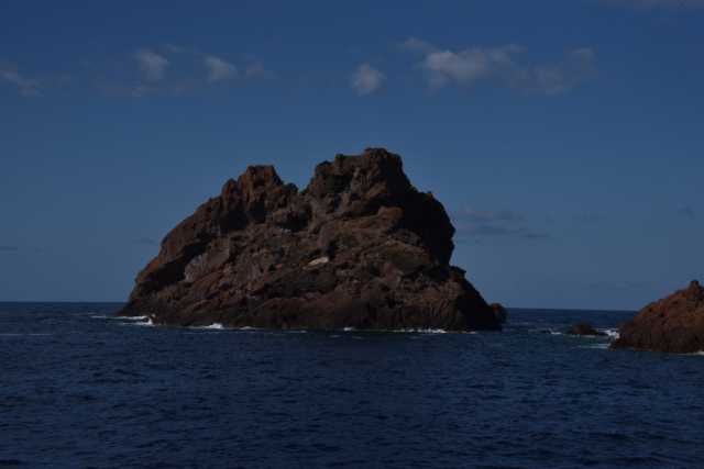 DSC_8812.JPG