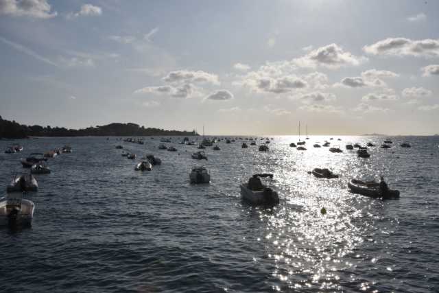 DSC_9024.JPG