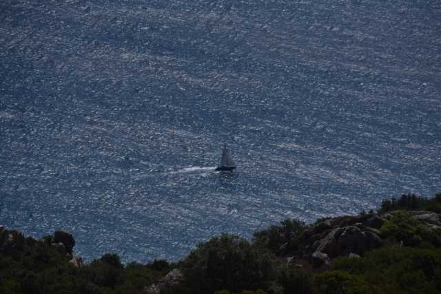 DSC_9094.JPG