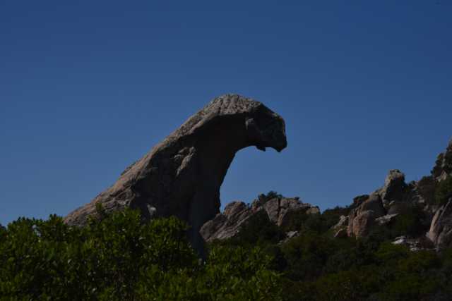 DSC_9106.JPG